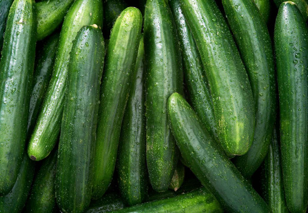 10 Makanan yang Bantu Cukupi Kebutuhan Cairan Tubuh saat Puasa