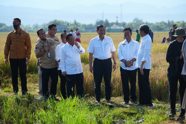 Presiden Jokowi bersama Mentan SYL Panen Raya di Maros, Sulsel