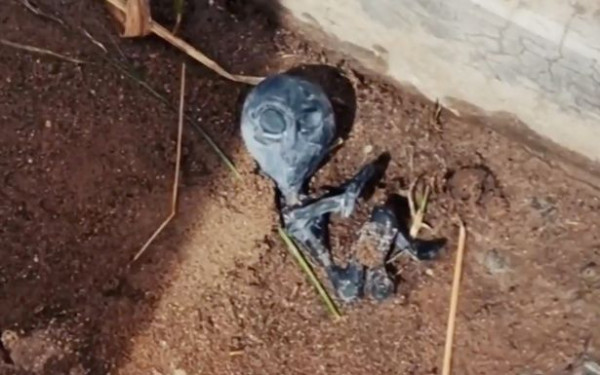 Mayat Misterius Sekecil Jenglot Ditemukan, Warga Bolivia Yakin Bangkai Alien