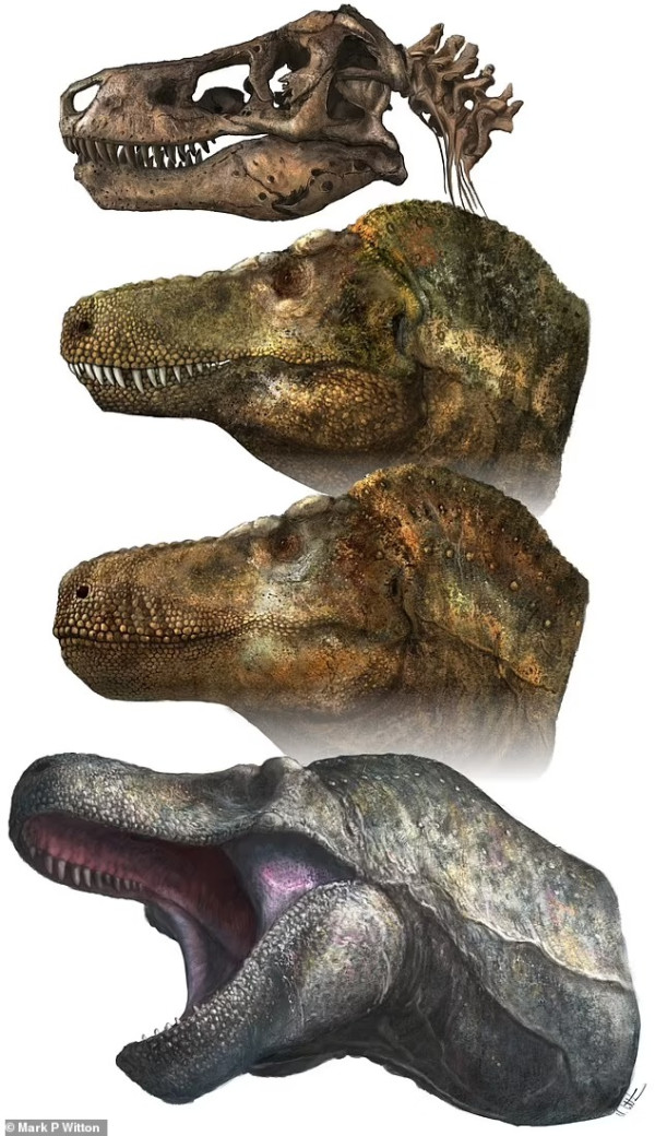 Hollywood Salah Menggambarkan T-Rex yang Punya Gigi Besar Setajam Silet
