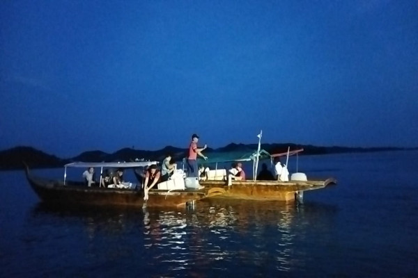 Bea Cukai Batam Gagalkan Penyelundupan 60 Ribu Benih Lobster Senilai Rp9 Miliar