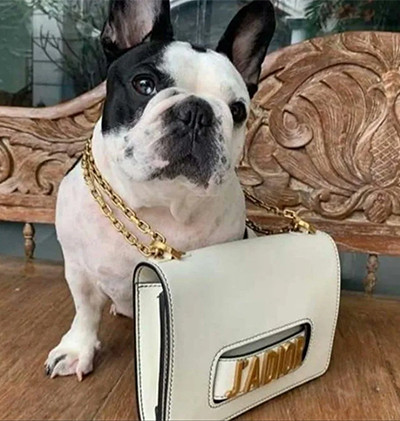 Intip 12 Tas Mewah Milik Ernie Meike Ibunda Mario Dandy, Termasuk untuk Anjing Kesayangan