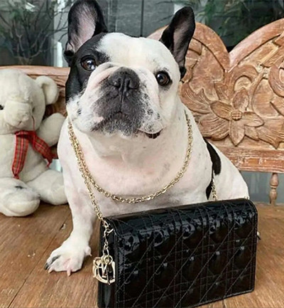 Intip 12 Tas Mewah Milik Ernie Meike Ibunda Mario Dandy, Termasuk untuk Anjing Kesayangan