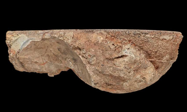 Penemuan Kristal Batu Akik dalam Telur Dinosaurus, Berusia 67 Juta Tahun dari Lahar Gunung Berapi