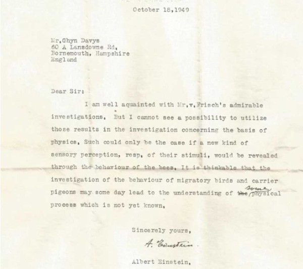 Surat Lama Einstein Ungkap Hewan Ini Memiliki Indra Super
