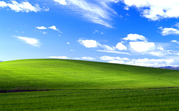 Kisah Foto Paling Banyak Dilihat di Dunia, Dijadikan Wallpaper di Semua Windows XP