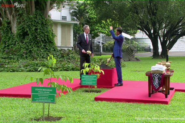 Momen Jokowi dan Perdana Menteri Ceko Tanam Pohon Kamper di Istana Bogor