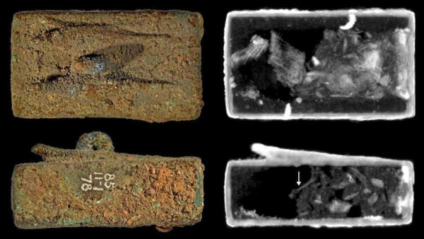 Misteri Peti Mati dengan Patung Kobra Berkepala Manusia Terungkap