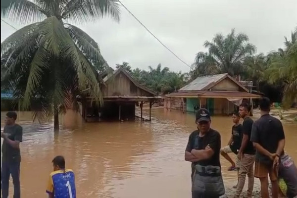 Banjir Setinggi Pohon Kelapa Terjang Ratusan Rumah Warga Tebo Jambi saat Lebaran