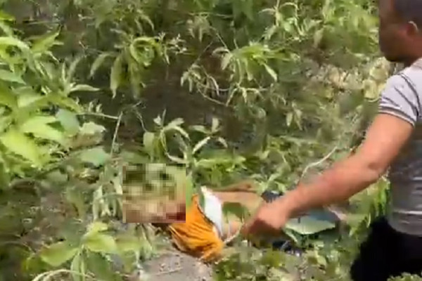 Truk Angkut 47 Orang Terjun ke Jurang di Aceh Besar, 4 Tewas