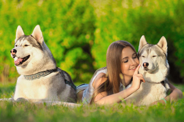 Anjing Anda Ternyata Bisa Cemburu, Kenali Tanda-tandanya!