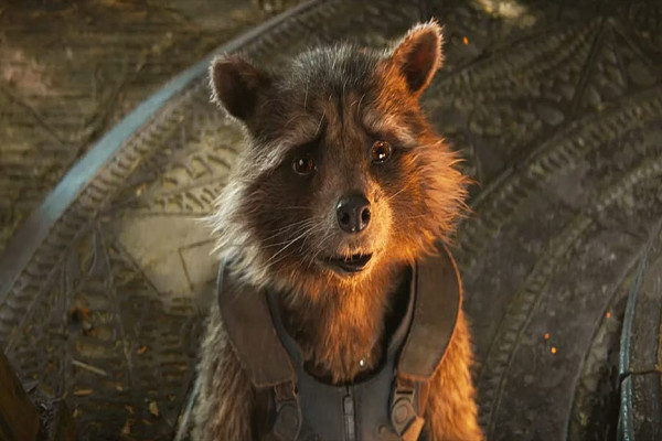 10 Hal yang Harus Diingat Sebelum Nonton Guardians of the Galaxy Vol. 3