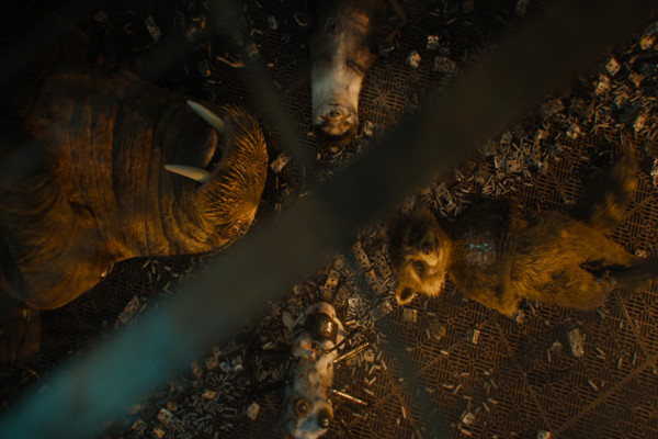 Review Guardians of the Galaxy Vol. 3: Sebuah Tangisan Perpisahan