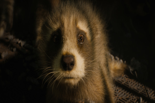 7 Fakta Guardians of the Galaxy Vol. 3 yang Harus Kamu Tahu