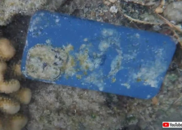 Ajaib, iPhone 14 Tetap Berfungsi Normal Setelah 1 Bulan Tenggelam di Bawah Laut