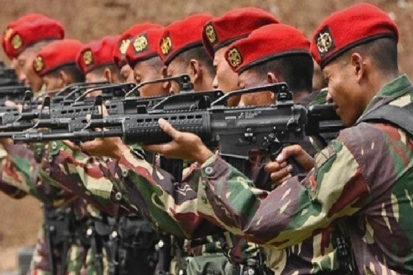 Deretan Pasukan Elite TNI yang Pernah Terjun Libas KKB Papua