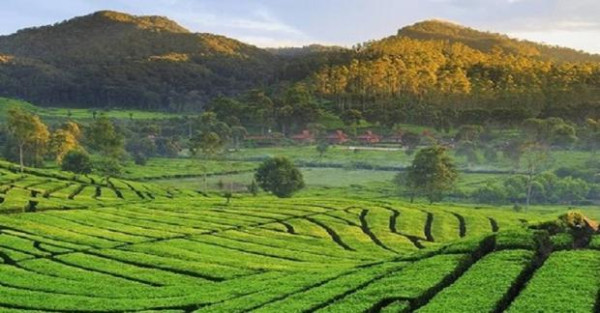 7 Wisata Keren di Ciwidey Bandung, Sejuk dan Menenangkan