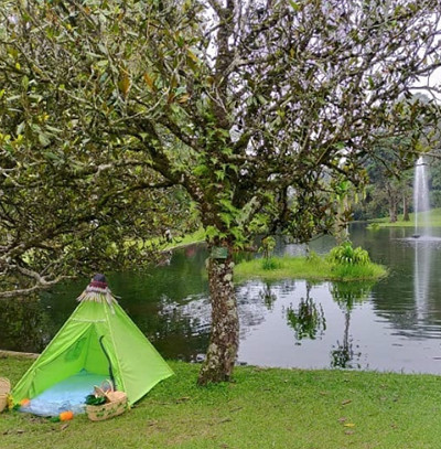 6 Kebun Raya di Indonesia yang Cocok Jadi Destinasi Liburan Akhir Pekan