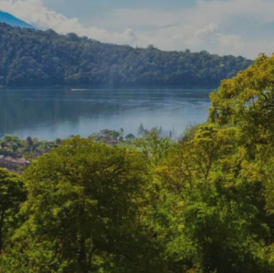 6 Kebun Raya di Indonesia yang Cocok Jadi Destinasi Liburan Akhir Pekan