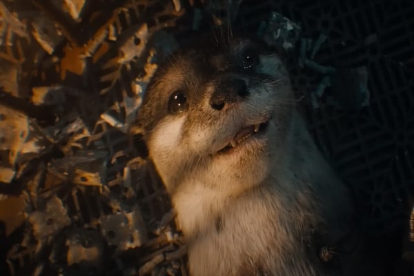 5 Karakter yang Mati di Akhir Guardians of the Galaxy Vol. 3