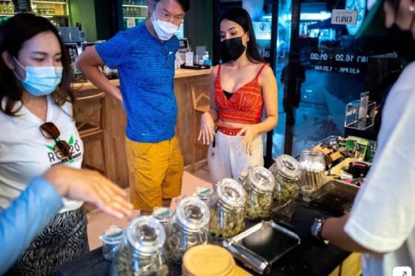 3 Negara Bersiap Melegalkan Ganja, Alasannya Demi Kepentingan Medis
