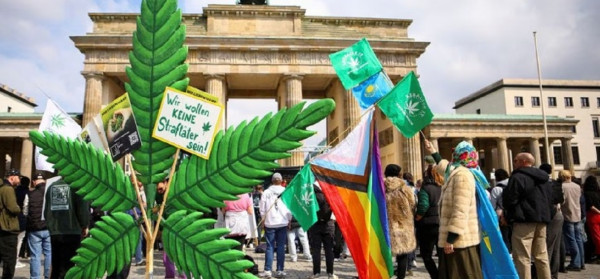 3 Negara Bersiap Melegalkan Ganja, Alasannya Demi Kepentingan Medis