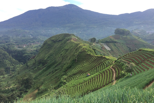 5 Kota Ternyaman untuk Melewatkan Masa Pensiun, Ubud Bali Paling Favorit