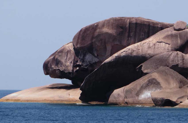 6 Batu Unik Mirip Hewan, Salah Satunya Ada di Indonesia