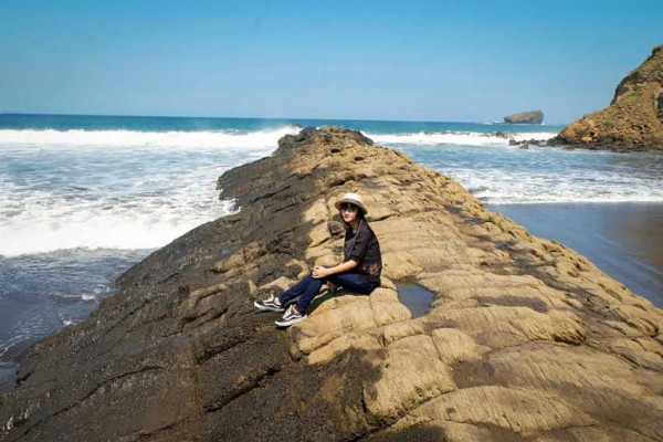 6 Batu Unik Mirip Hewan, Salah Satunya Ada di Indonesia