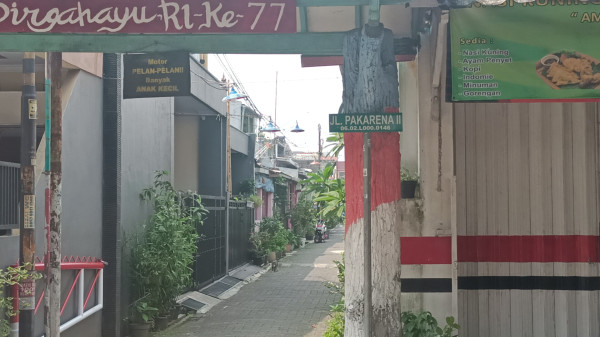 Babi Kembali Bikin Geger Depok, Ketua RW: Belum Ada Laporan Kehilangan