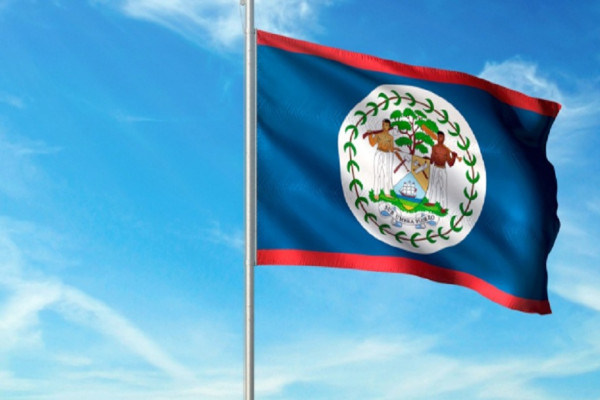 8 Bendera Negara Paling Kontroversial, Nomor 3 Bergambar Penebang Pohon