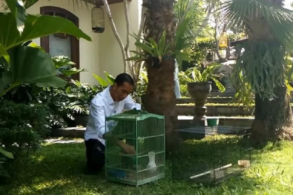 7 Foto Rumah Jokowi di Solo, Nomor 5 Ada Kolam Renang Tempat Mandi Jan Ethes