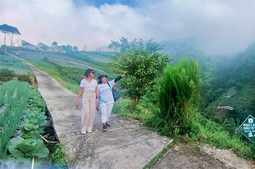 Jelajah Negeri di Atas Awan Magelang, Golden Sunrise di Silancur Highland hingga Nyeruput Wedang di Ketep Pass