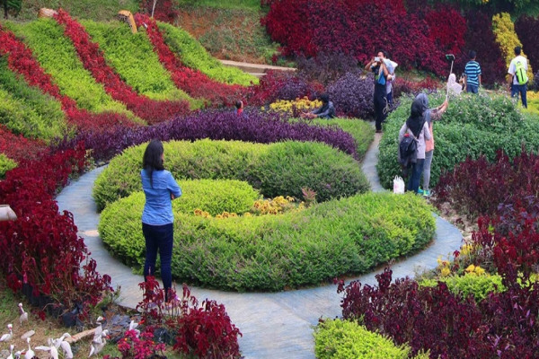 8 Taman Bunga Terindah di Indonesia, Nomor 5 Hanya Bermekaran pada November Atau Desember