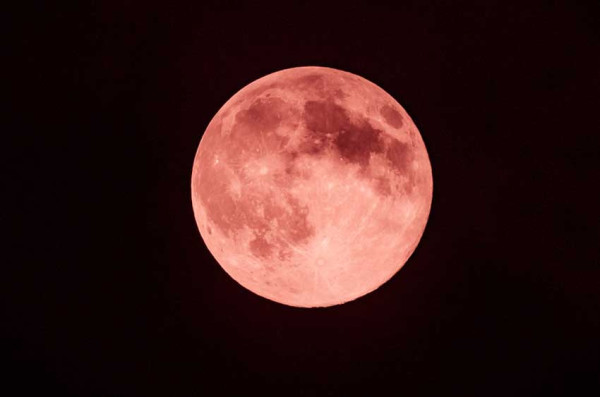 Fenomena Strawberry Moon, Bulan Purnama yang Bersanding dengan Jantung Kalajengking