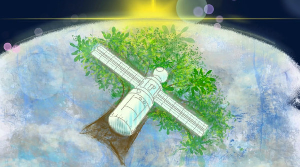 Jepang Bakal Luncurkan Satelit Terbuat dari Kayu ke Orbit Bumi di 2024