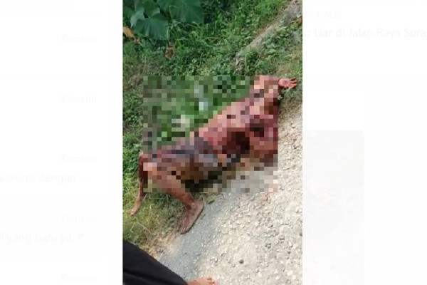 Carok Berdarah Pecah di Tanah Merah Bangkalan, Brimob Polda Jatim Disiagakan