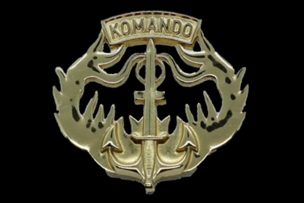 Brevet Koleksi Jenderal TNI Ryamizard Ryacudu, dari Kopassus hingga US Army