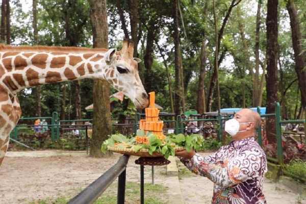 7 Destinasi Wisata Jakarta Paling Banyak Dikunjungi, Ancol Juaranya