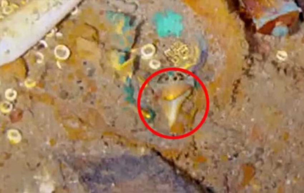 5 Harta Karun Titanic yang Hilang, Masih Jadi Misteri selama 111 Tahun