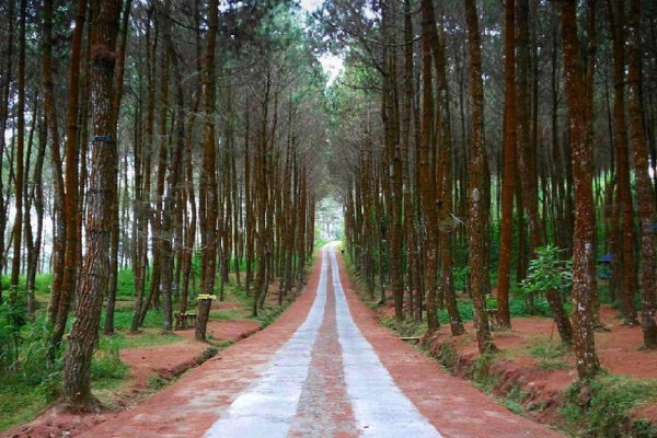 9 Tempat Wisata Indonesia yang Mirip Lokasi Syuting Drakor, Nomor 4 Serasa Nonton Itaewon Class