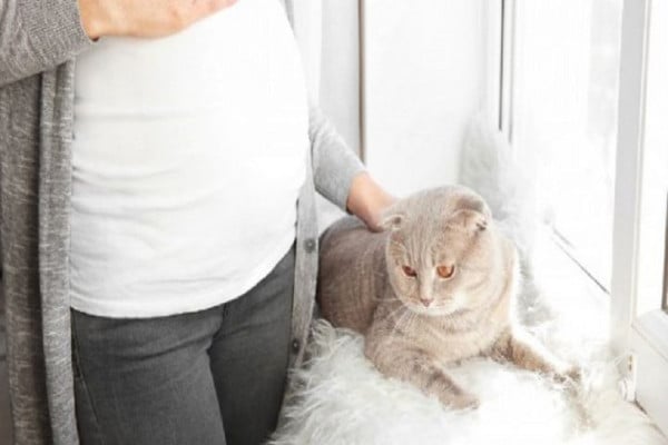 7 Bahaya Bulu Kucing yang Harus Diwaspadai, Nomor 5 Bisa Akibatkan Keguguran pada Ibu Hamil