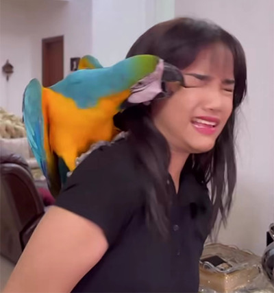 Matanya Tiba-Tiba Dipatuk Burung Beo, Fuji Pasrah Diketawain Netizen