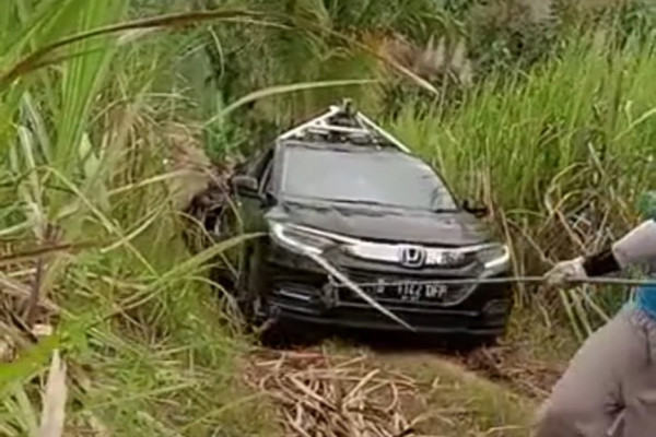 Konyol! Mobil Google Maps Tersesat Masuk Perkebunan Tebu di Malang