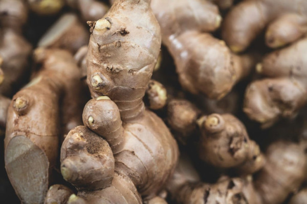 8 Obat Herbal Penurun Kolesterol Tinggi, Banyak Ditanam di Halaman