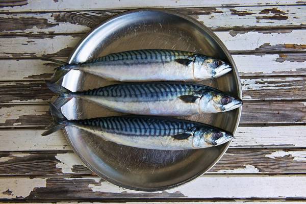 5 Jenis Ikan yang Tidak Boleh Dikonsumsi Penderita Kolesterol Tinggi, Jangan Dimakan Berlebihan