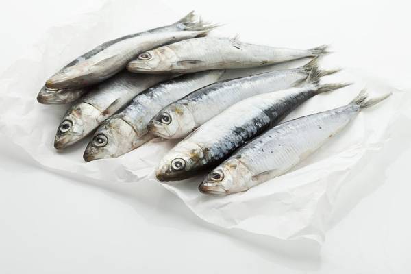 5 Jenis Ikan yang Tidak Boleh Dikonsumsi Penderita Kolesterol Tinggi, Jangan Dimakan Berlebihan
