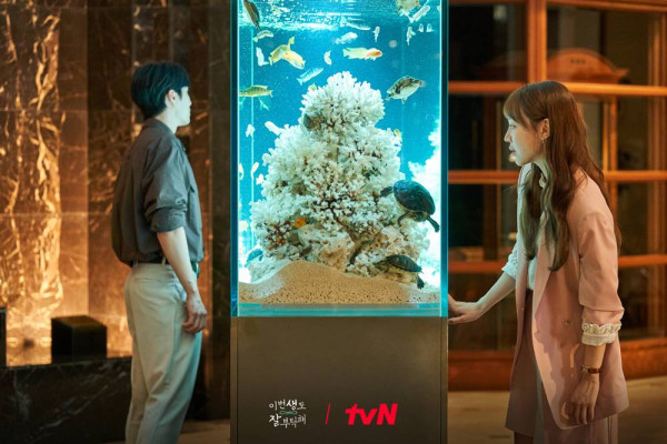 Sinopsis See You in My 19th Life, Pemain dan Deskripsi Karakternya, Drakor Terbaru Ahn Bo-Hyun