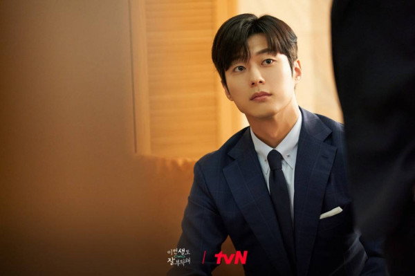 Sinopsis See You in My 19th Life, Pemain dan Deskripsi Karakternya, Drakor Terbaru Ahn Bo-Hyun