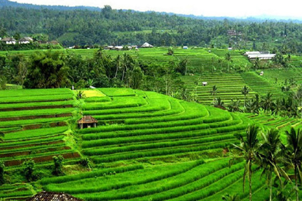 8 Desa Wisata dengan Panorama Cantik, Cocok untuk Mengisi Liburan